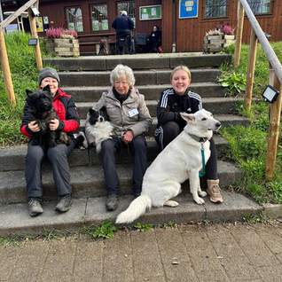 Rally Obedience Turnier