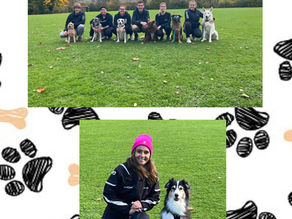 Turnierwochenende beim VdH Metzingen