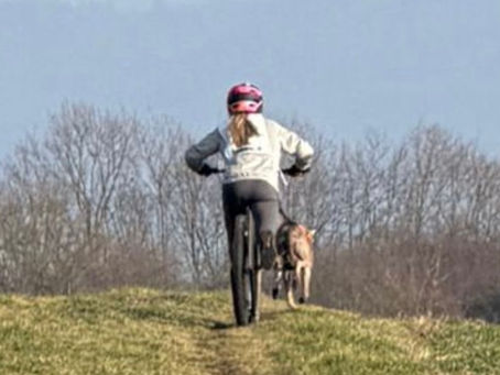 🐶 Speedhunter - Turnier beim VdH Mannheim Feudenheim 🐶