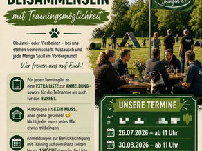 Offenes Sonntagstraining