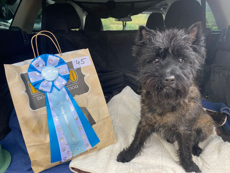 Rally Obedience Turnier in Winterbach
