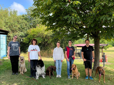 Interne Team Test Prüfung