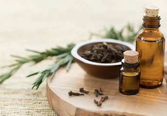 rosemary photo.jpg