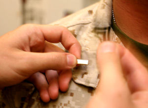 mecep pinning.jpeg