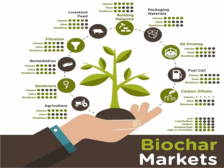 Graphic-Biochar-Markets.webp