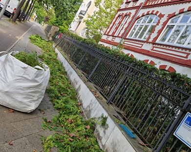 Entsorgung Grünschnitt