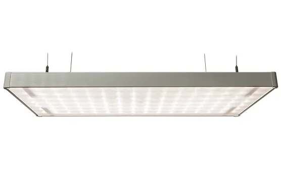 delvel bestenevye antiblikovye