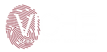 logo viche development solution