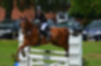 tournament-ride-379031_1920