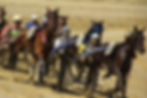 sporty-fight-776862_1920