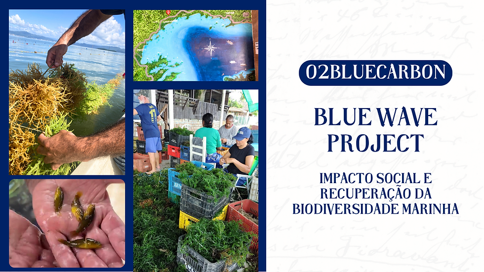 O2BlueCarbon Project Blue Waves.png