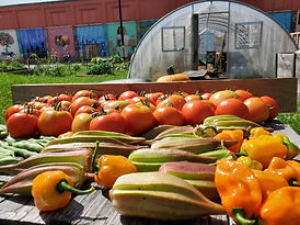 20200904_113555.jpg