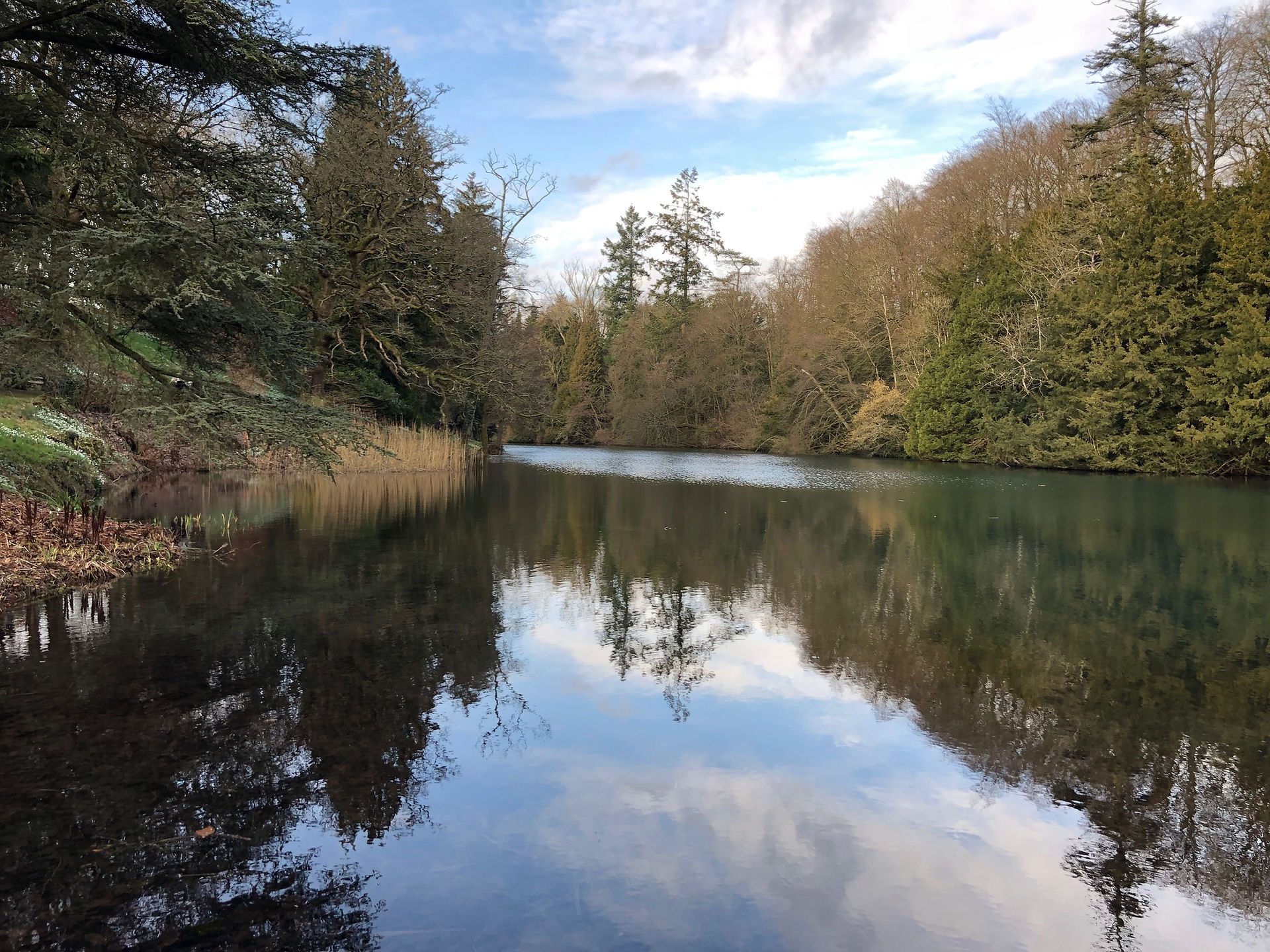 Colesbourne Park4