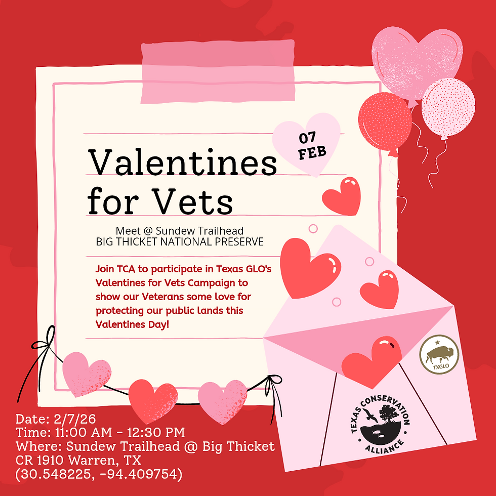 Valentines for Vets 