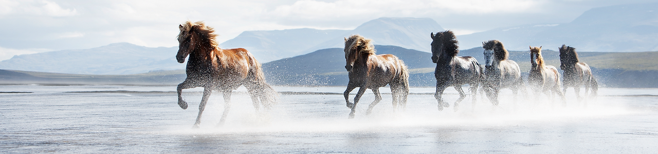 Screenshot 2023-04-21 at 14.02.12.png