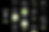 555.png