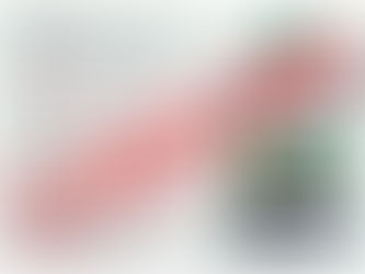 ÔNIBUS CONFIRMADO - COPA TRIATHLON BRASIL - GRANDE FINAL 03/11