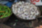 Dairy Grocer
