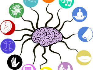 NeuroKnowhow.com present an interpretation of Gardner’s multiple intelligences – ed.