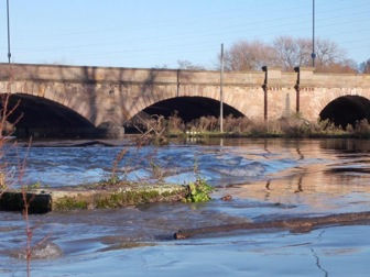 A walk by the river, taking photos, really helps me