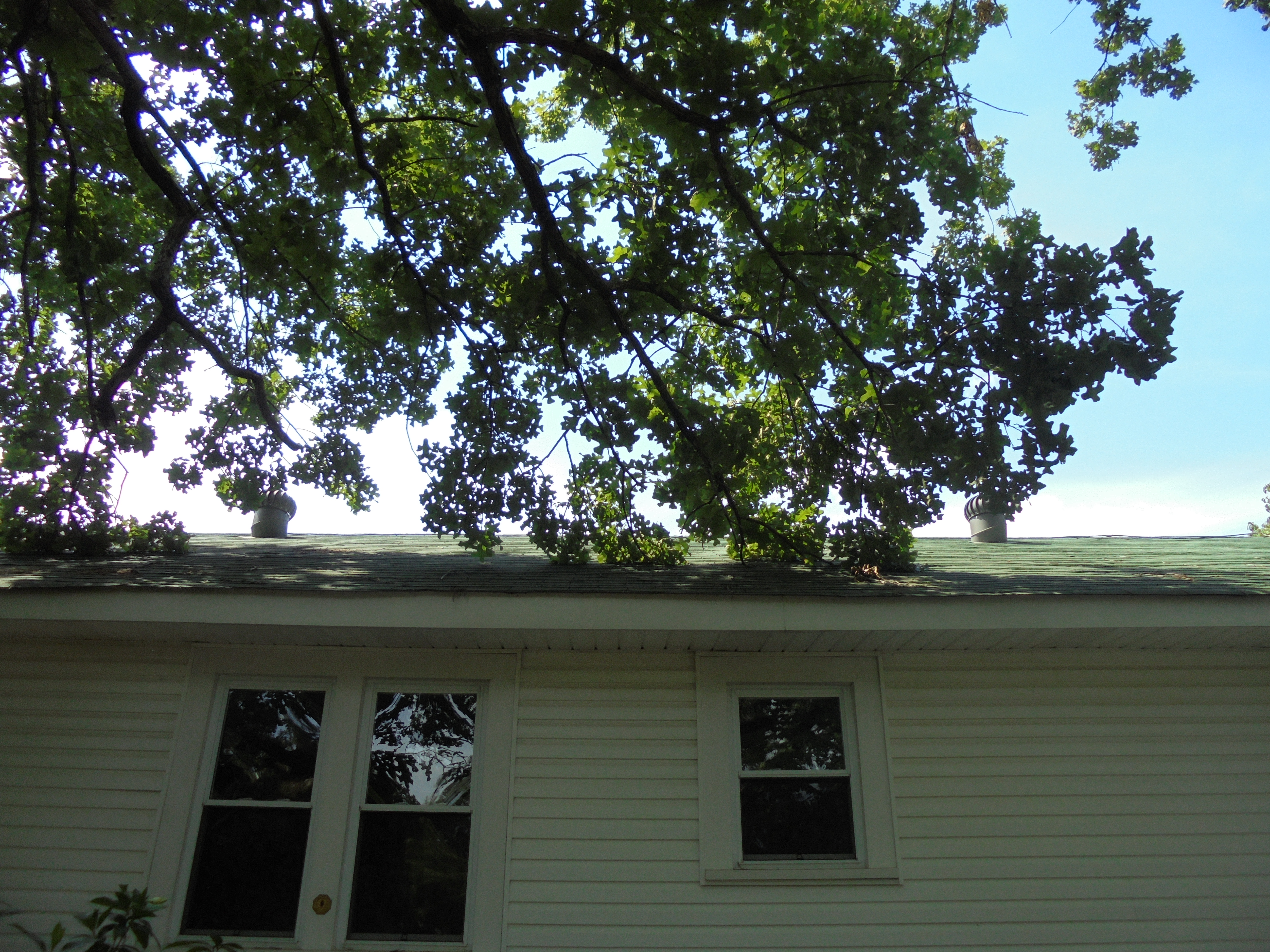 Montevallo Alabama Roof