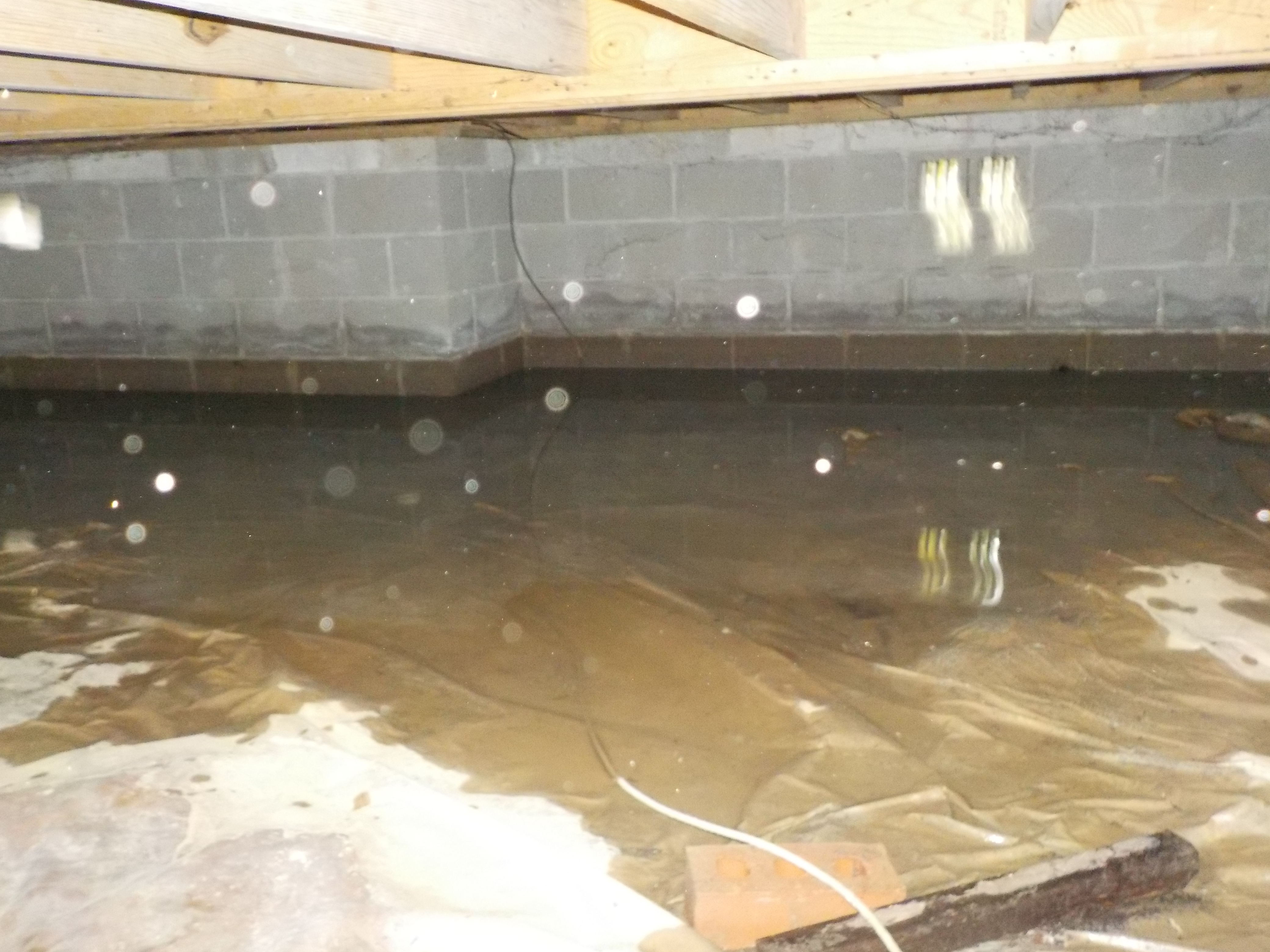 Water in crawlspace - Jemison, AL