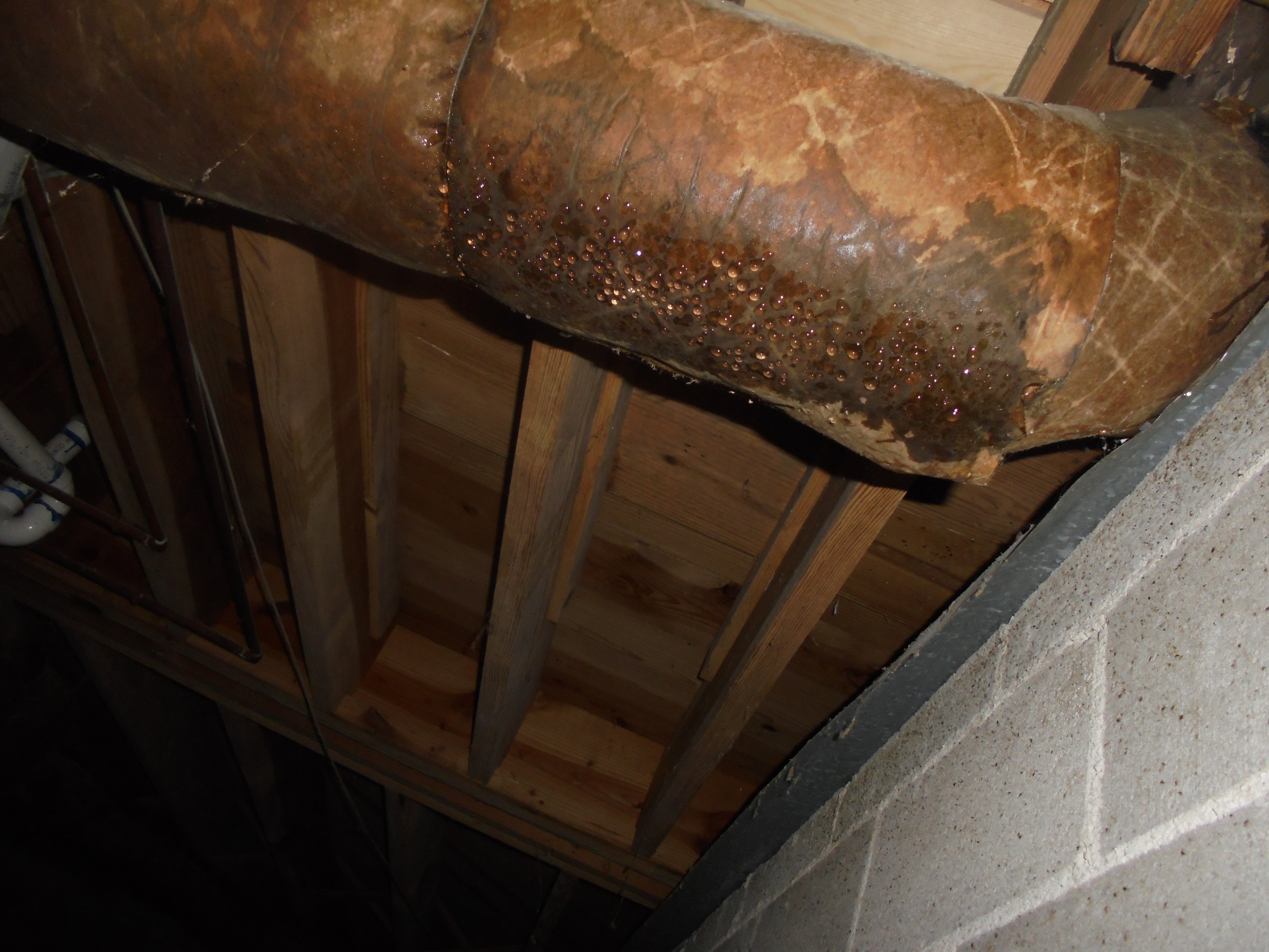 Vestavia Hills Crawlspace Inspection