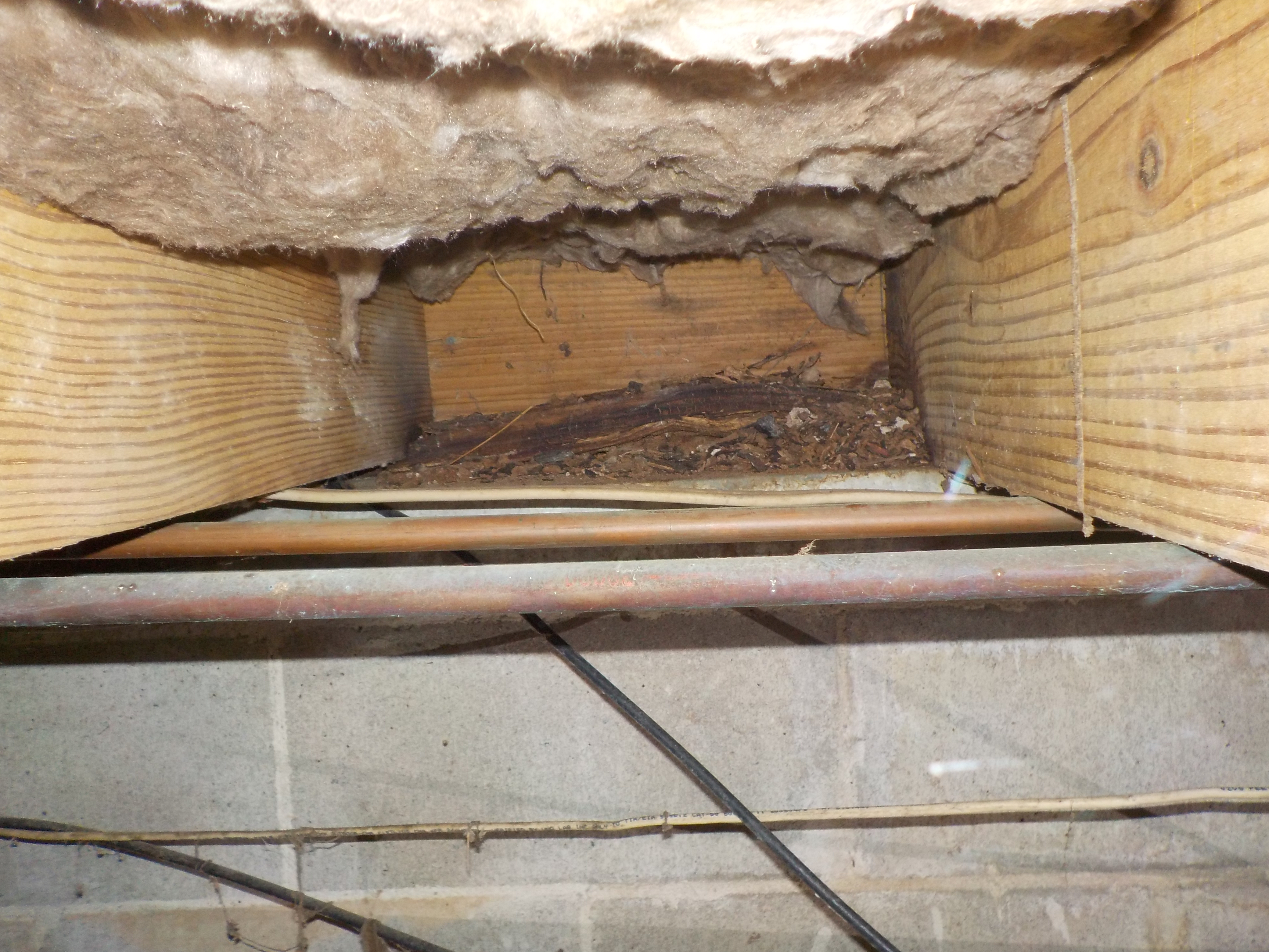 Rotten wood in crawlspace