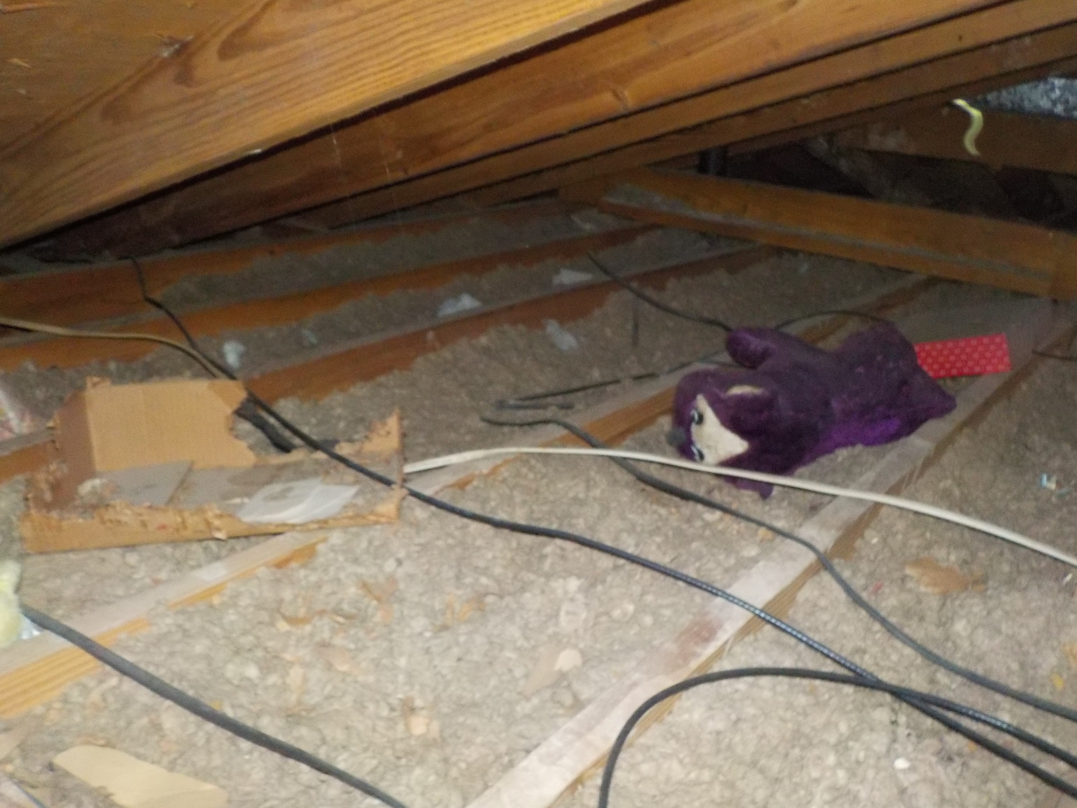 Alabaster attic inspection