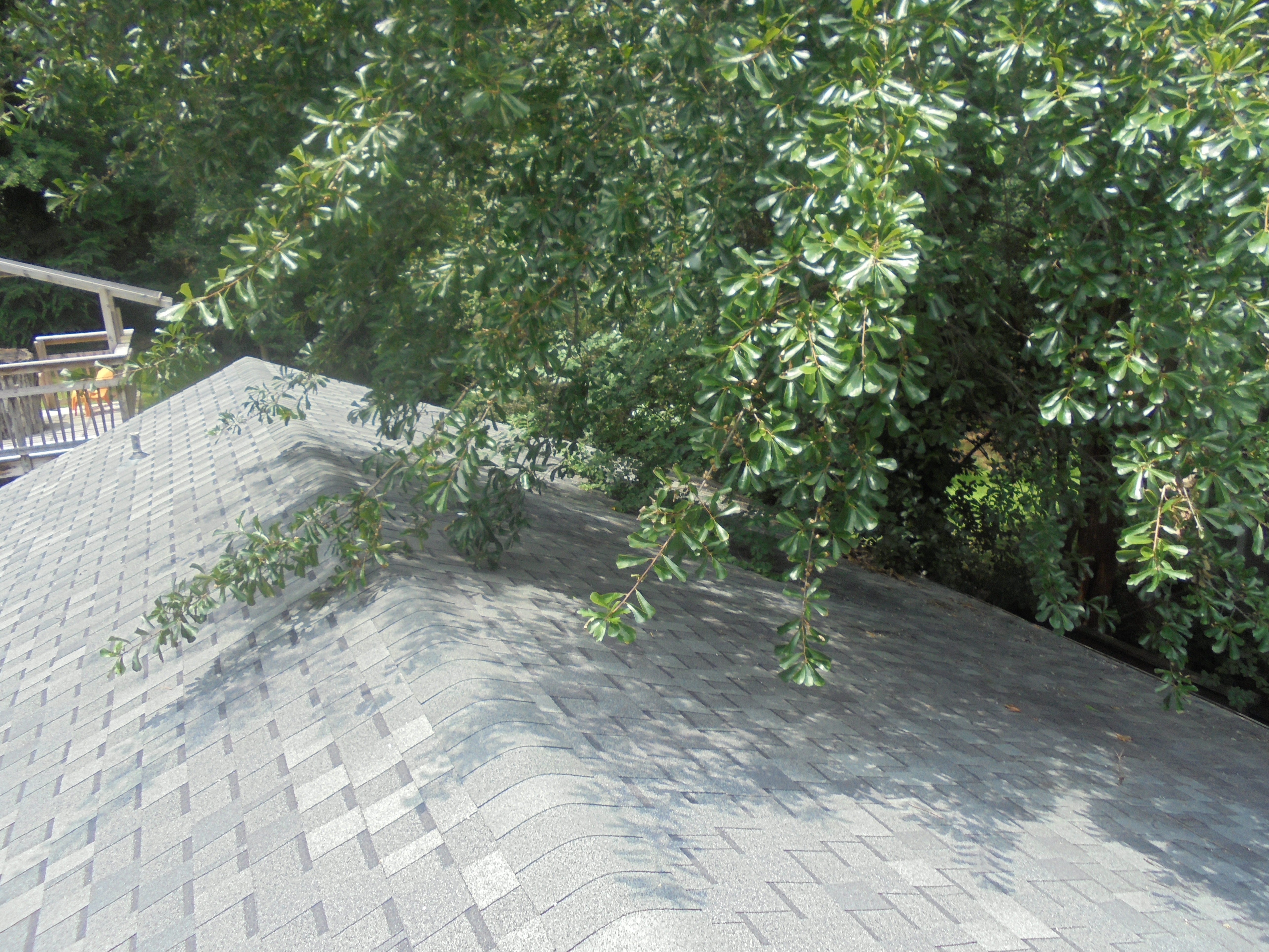 Birmingham Roof Inspection