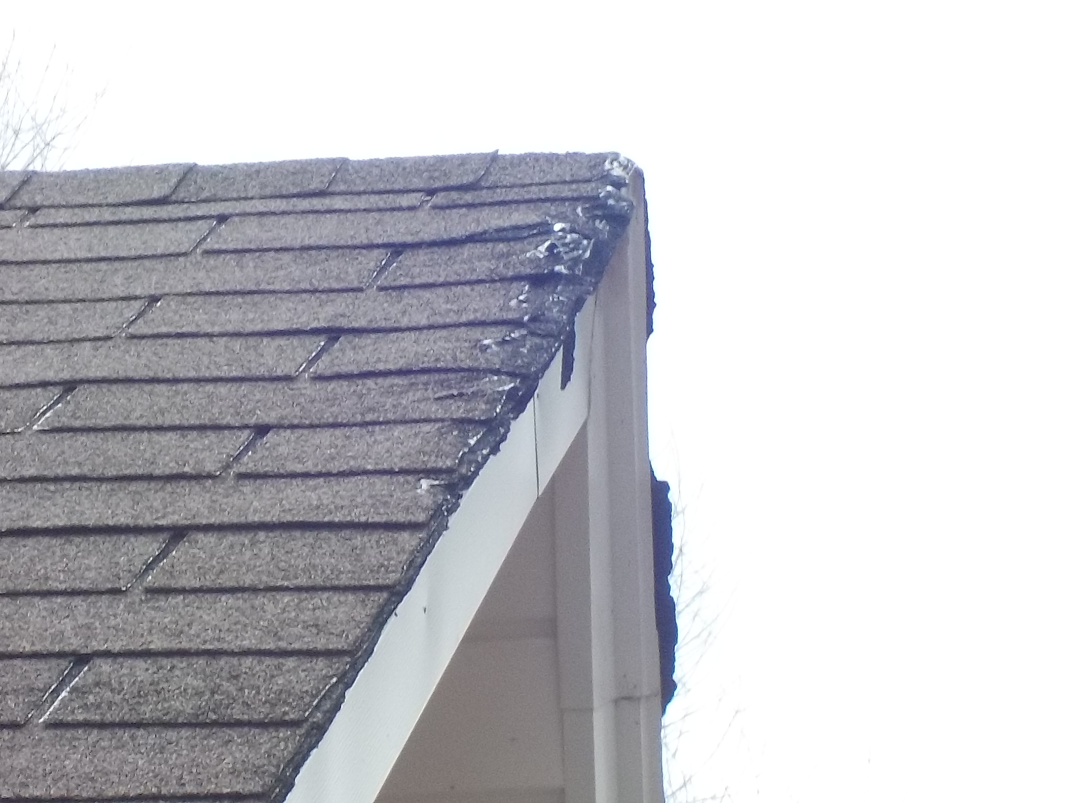 Damaged shingles