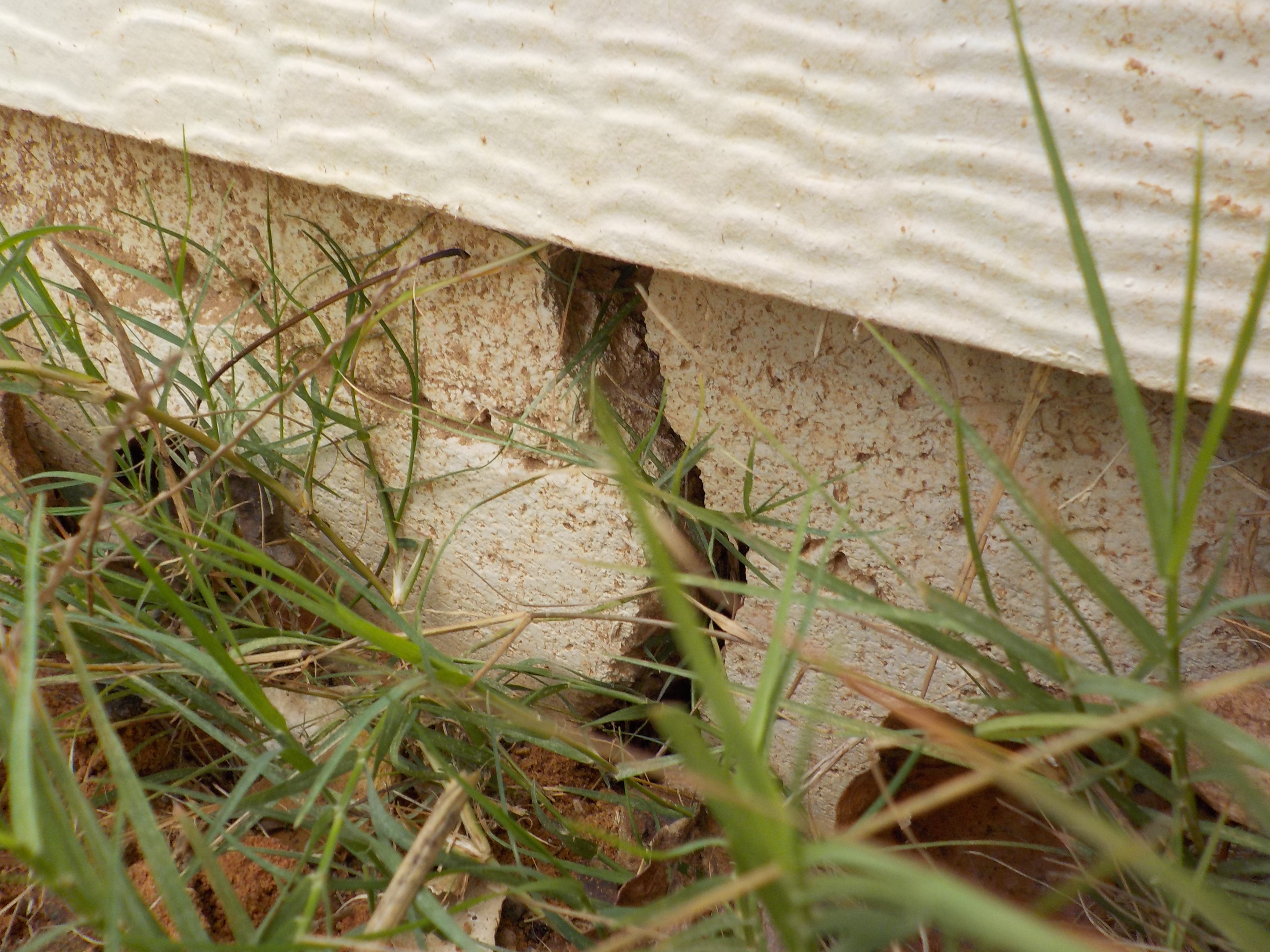 Crack in foundation
