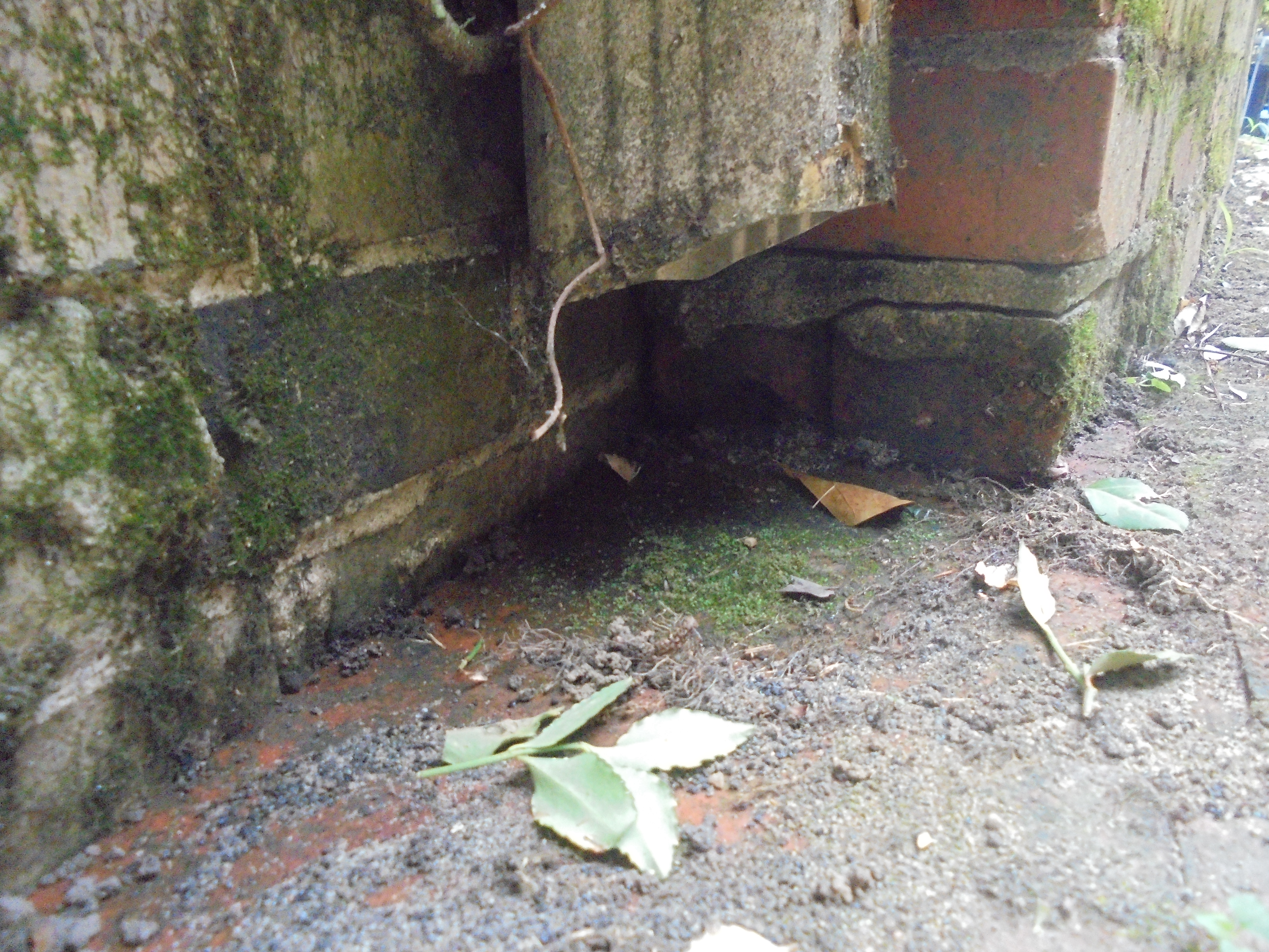 Birmingham, AL home inspection