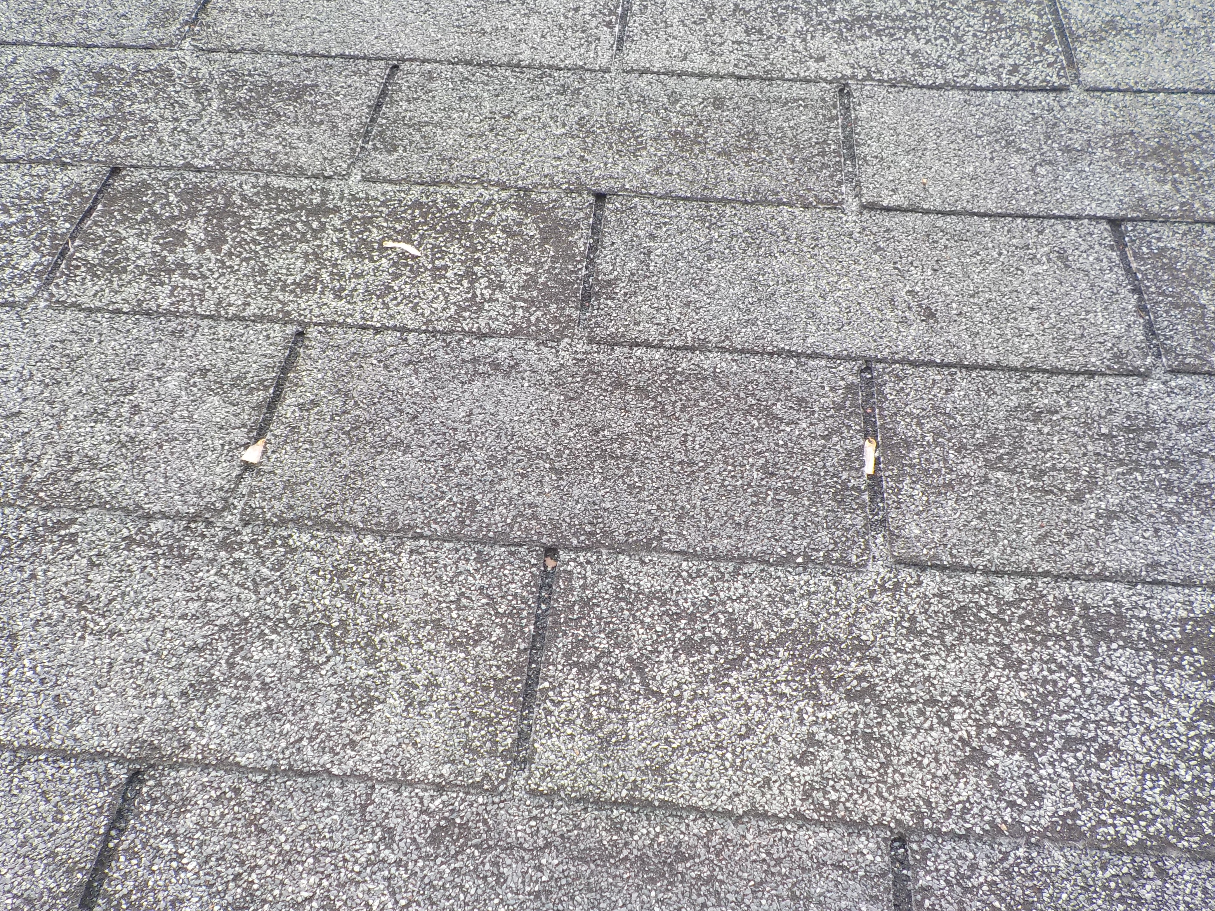 Roof inspection