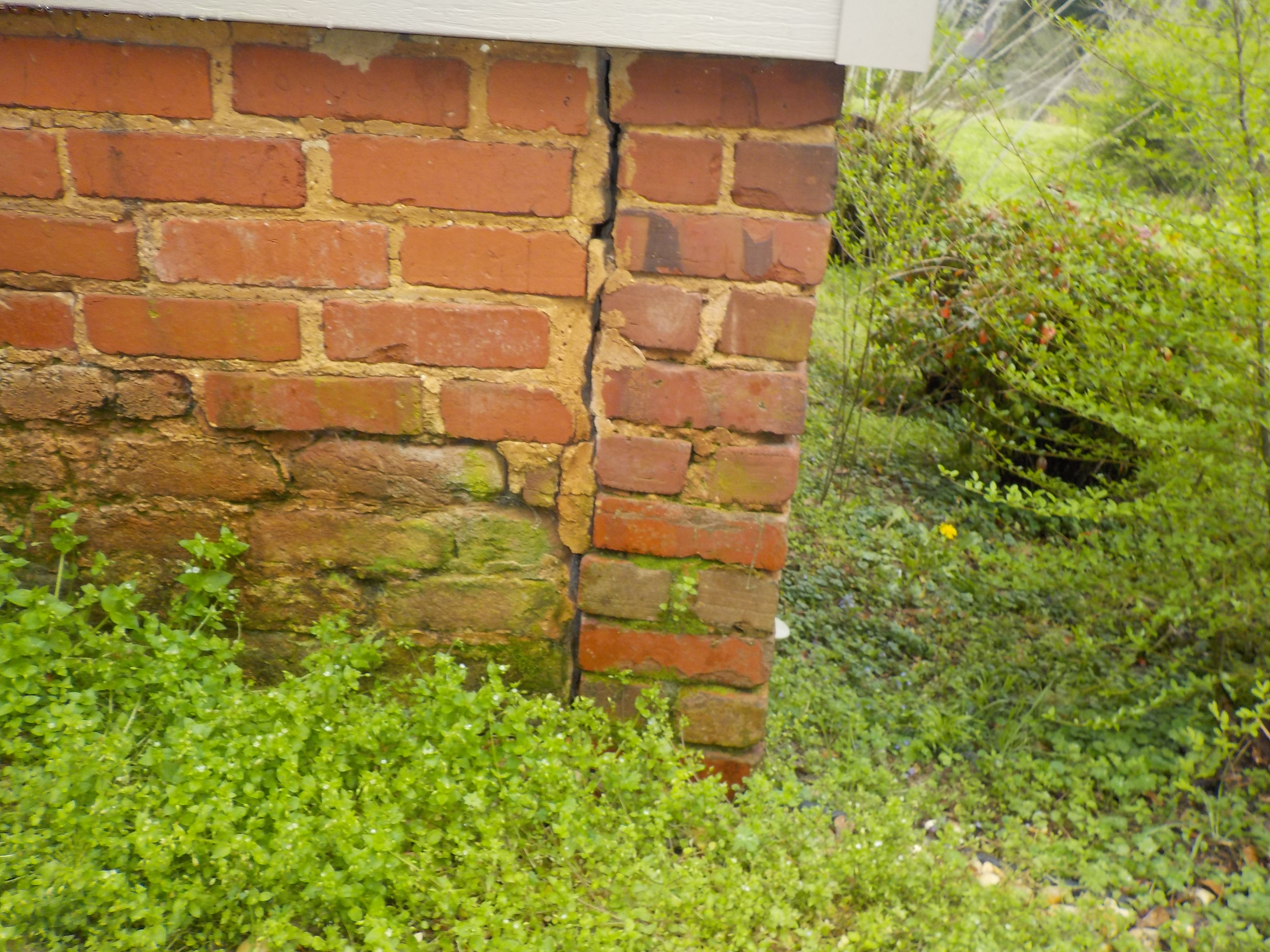 Montevallo foundation