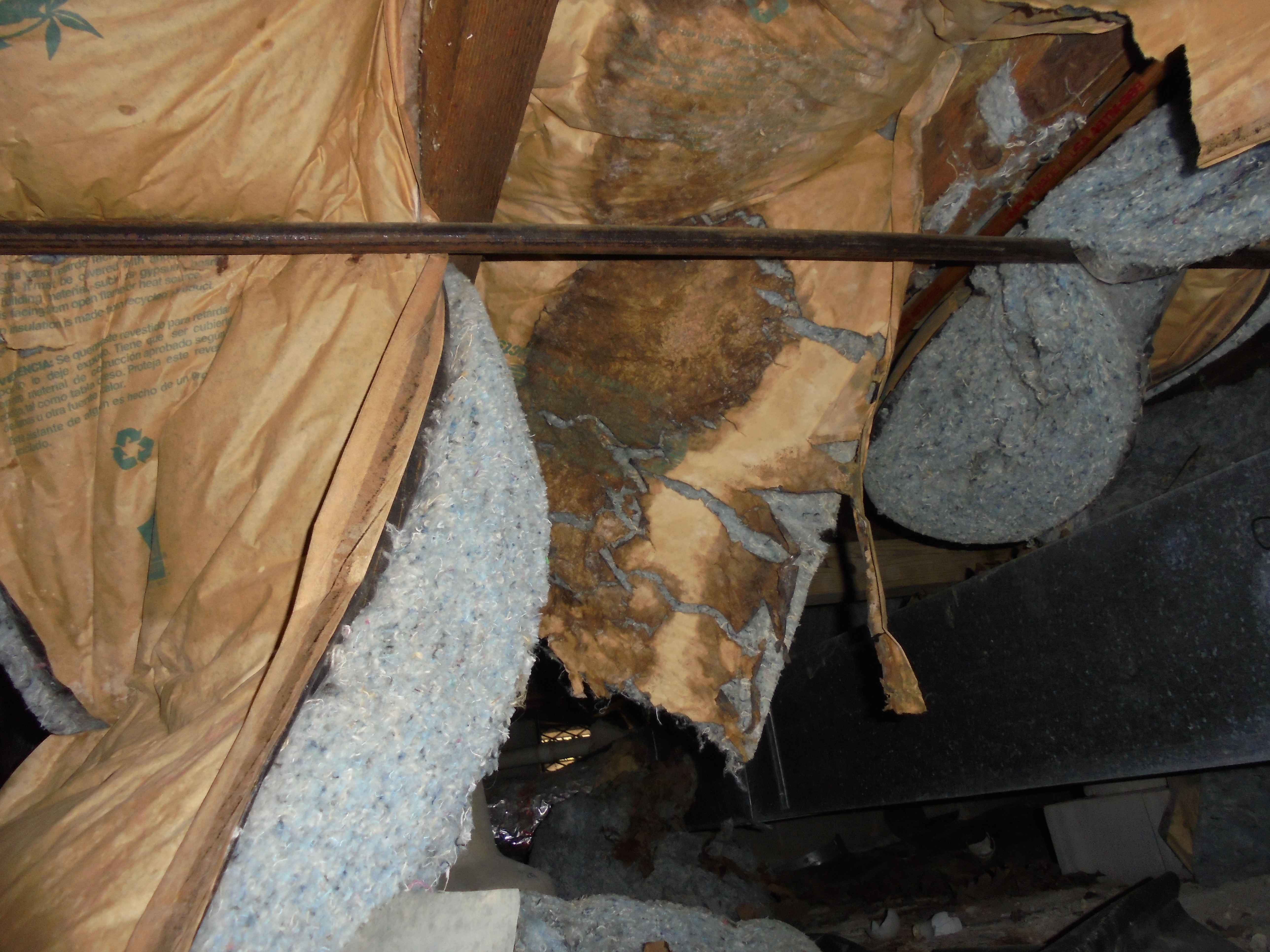 Crawlspace Inspection - Montevallo