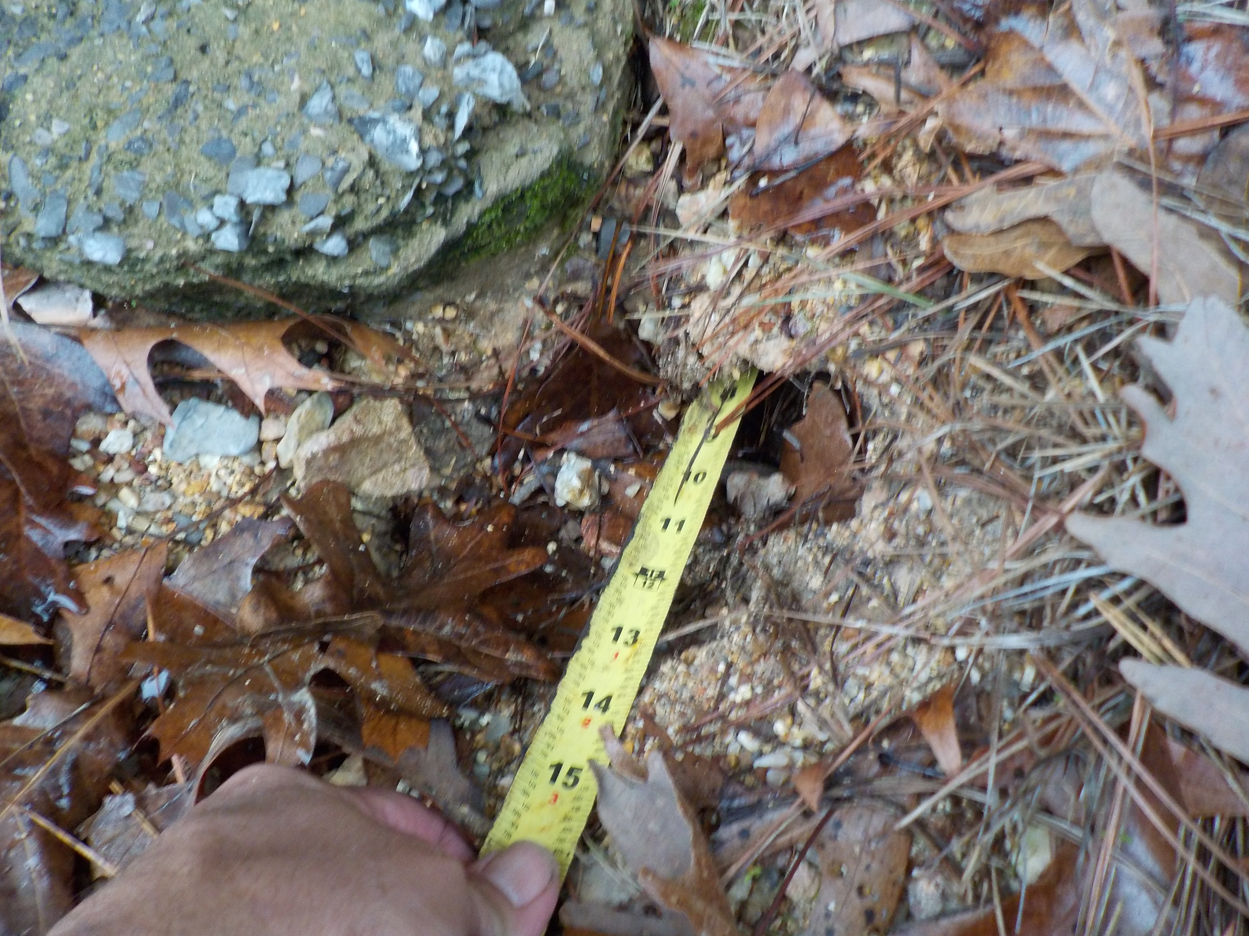 Erosion - deck post