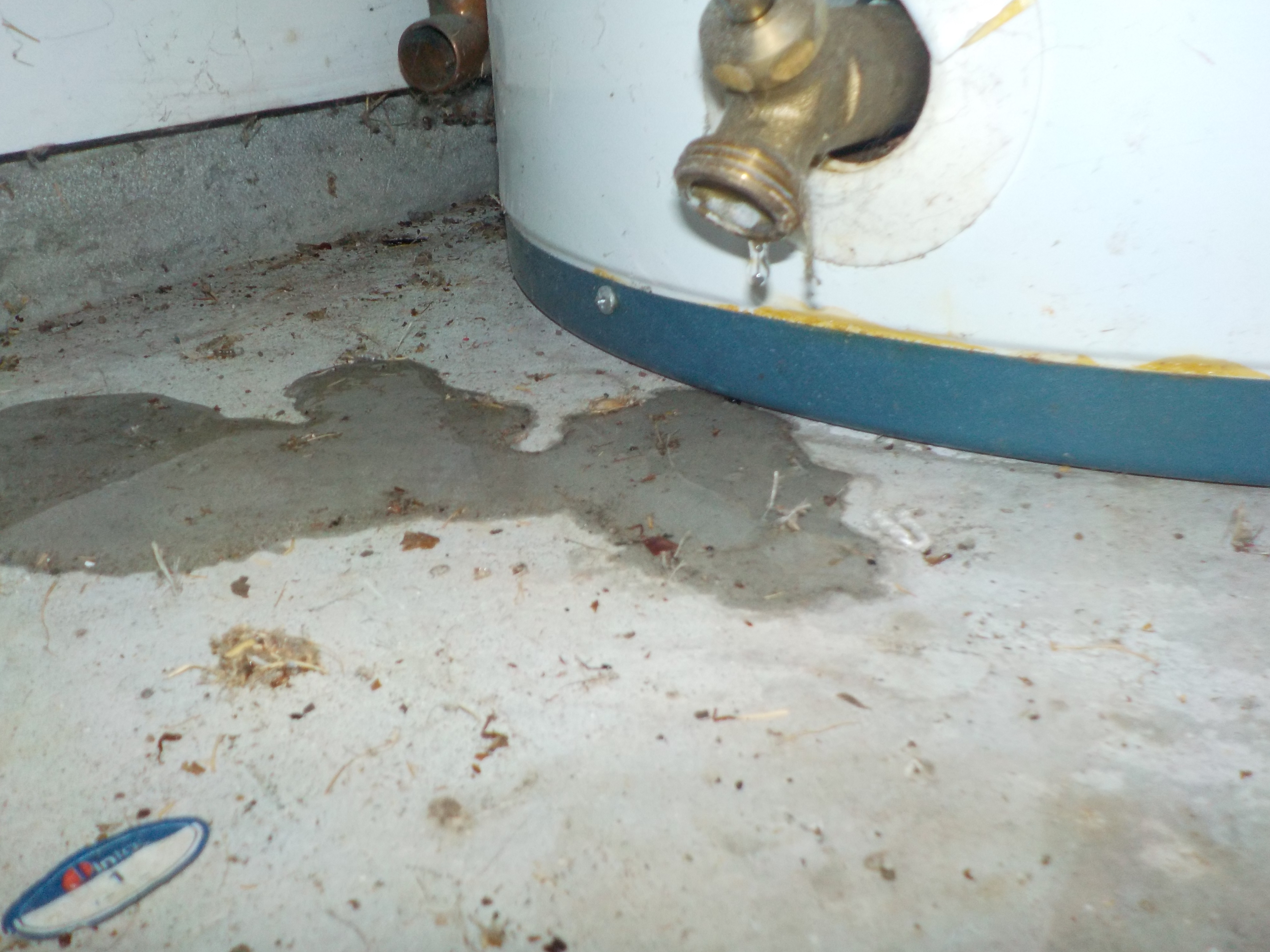 Leaking Water Heater
