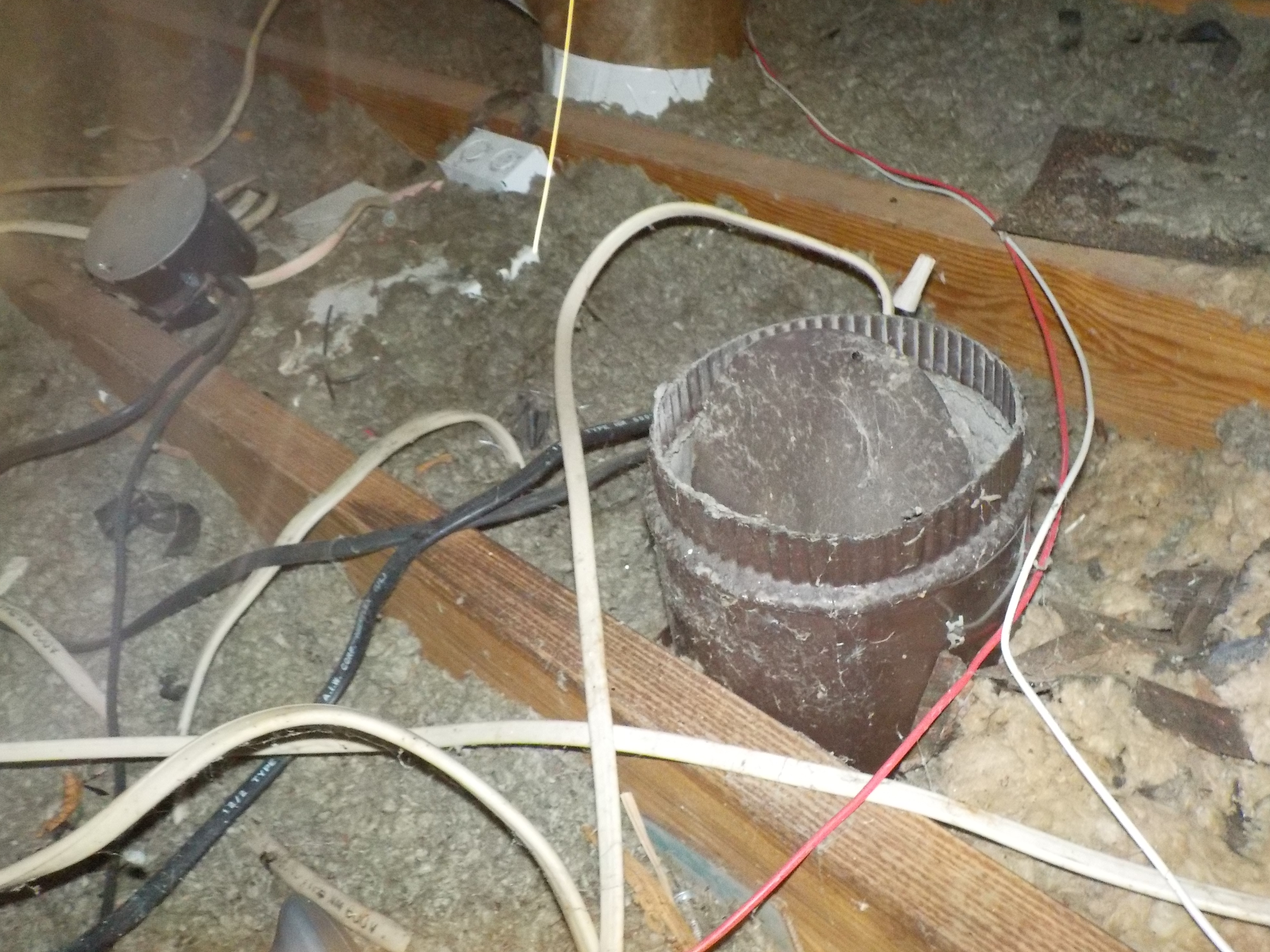 Attic inspection