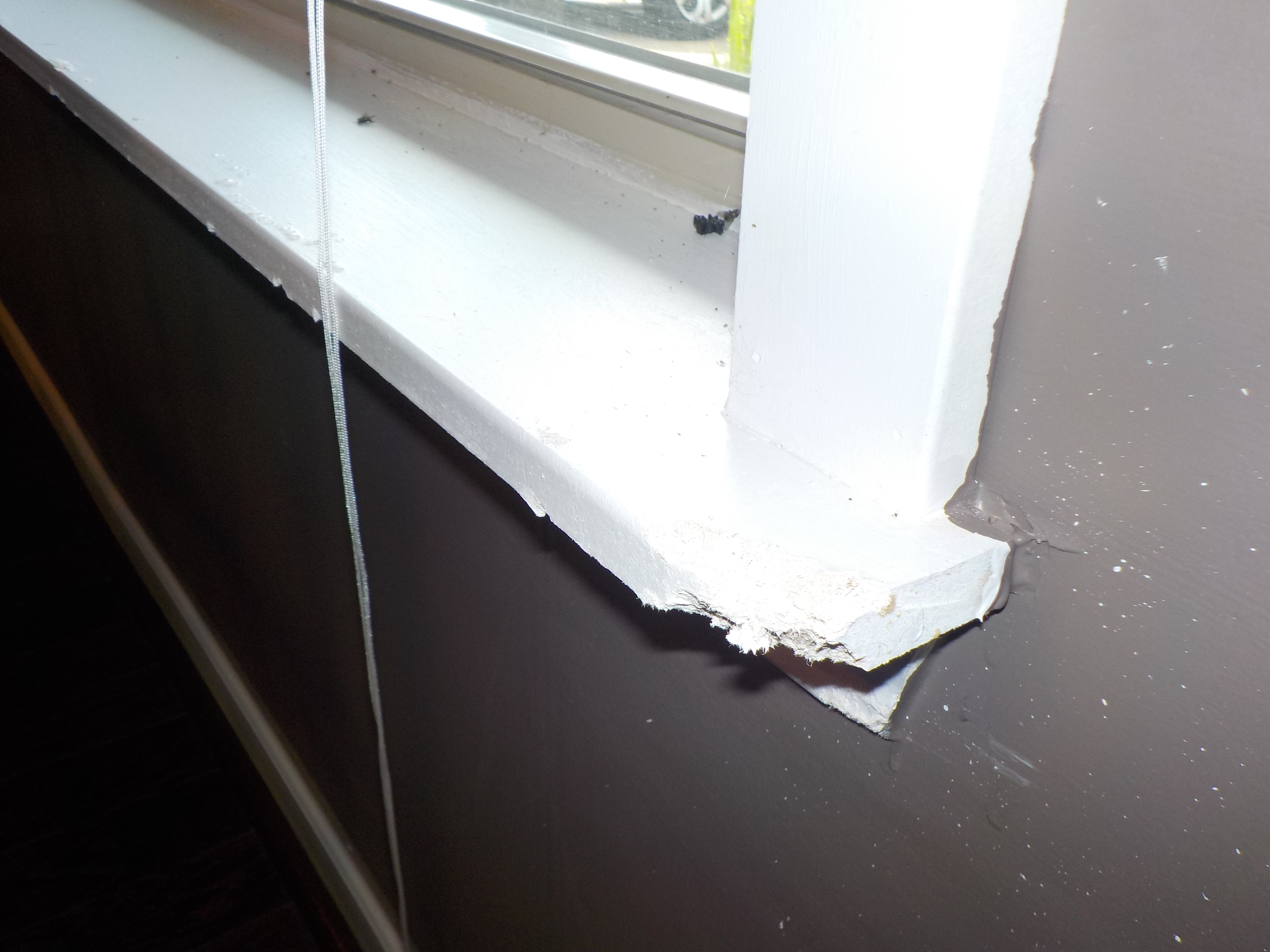 Pet damage - Calera Home Inspection