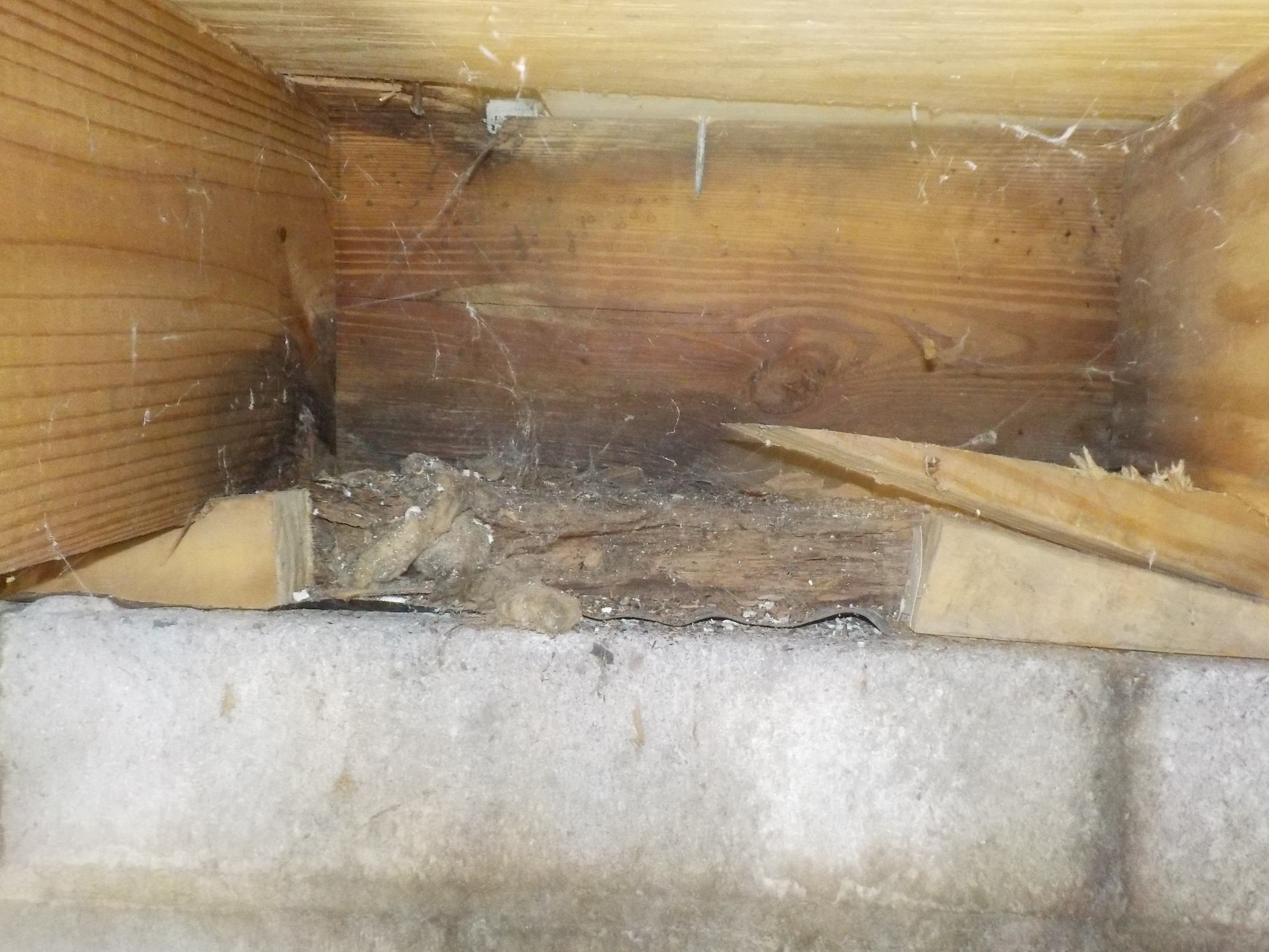 Alabaster crawlspace