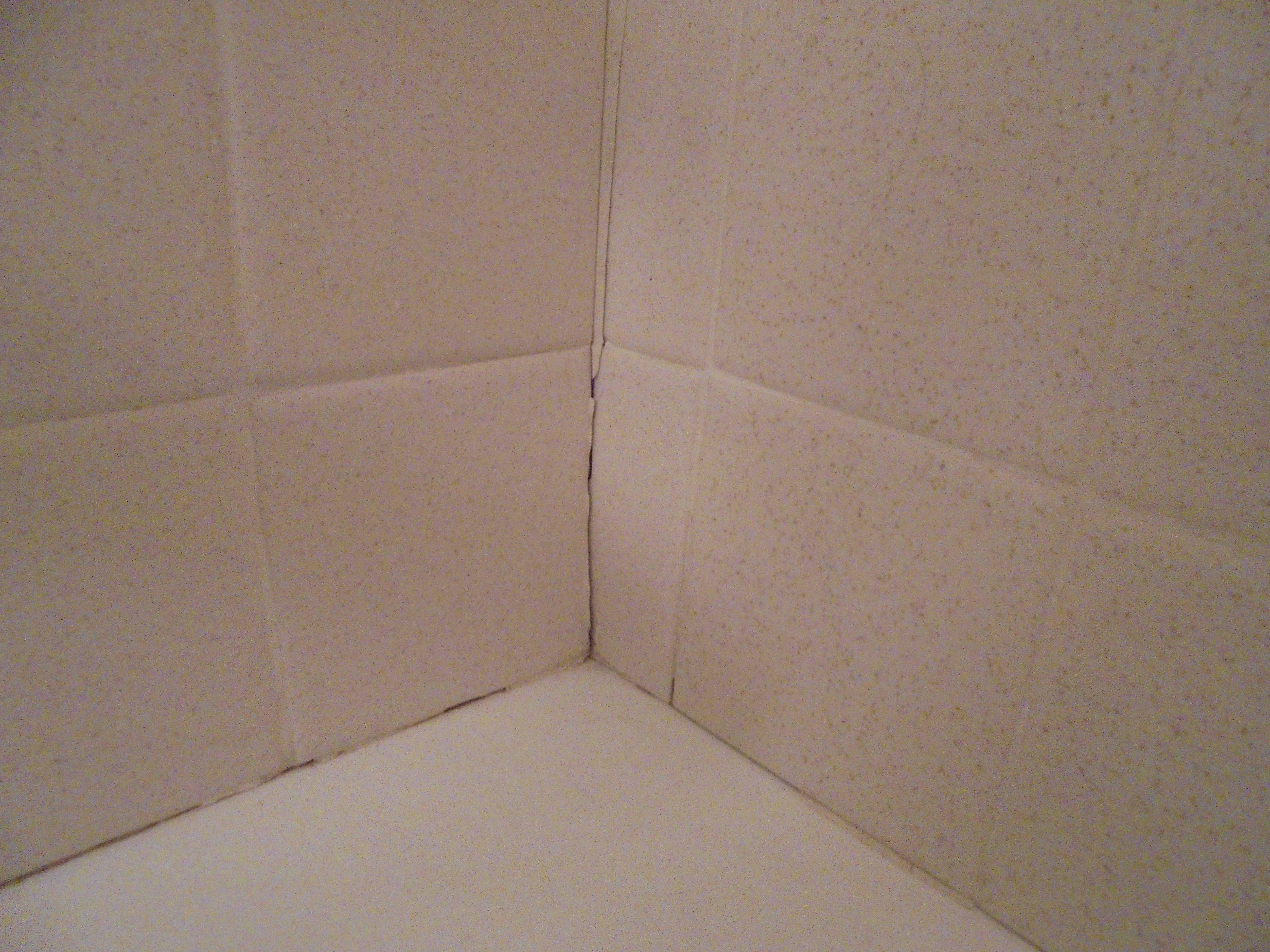 Hoover AL condominium inspection