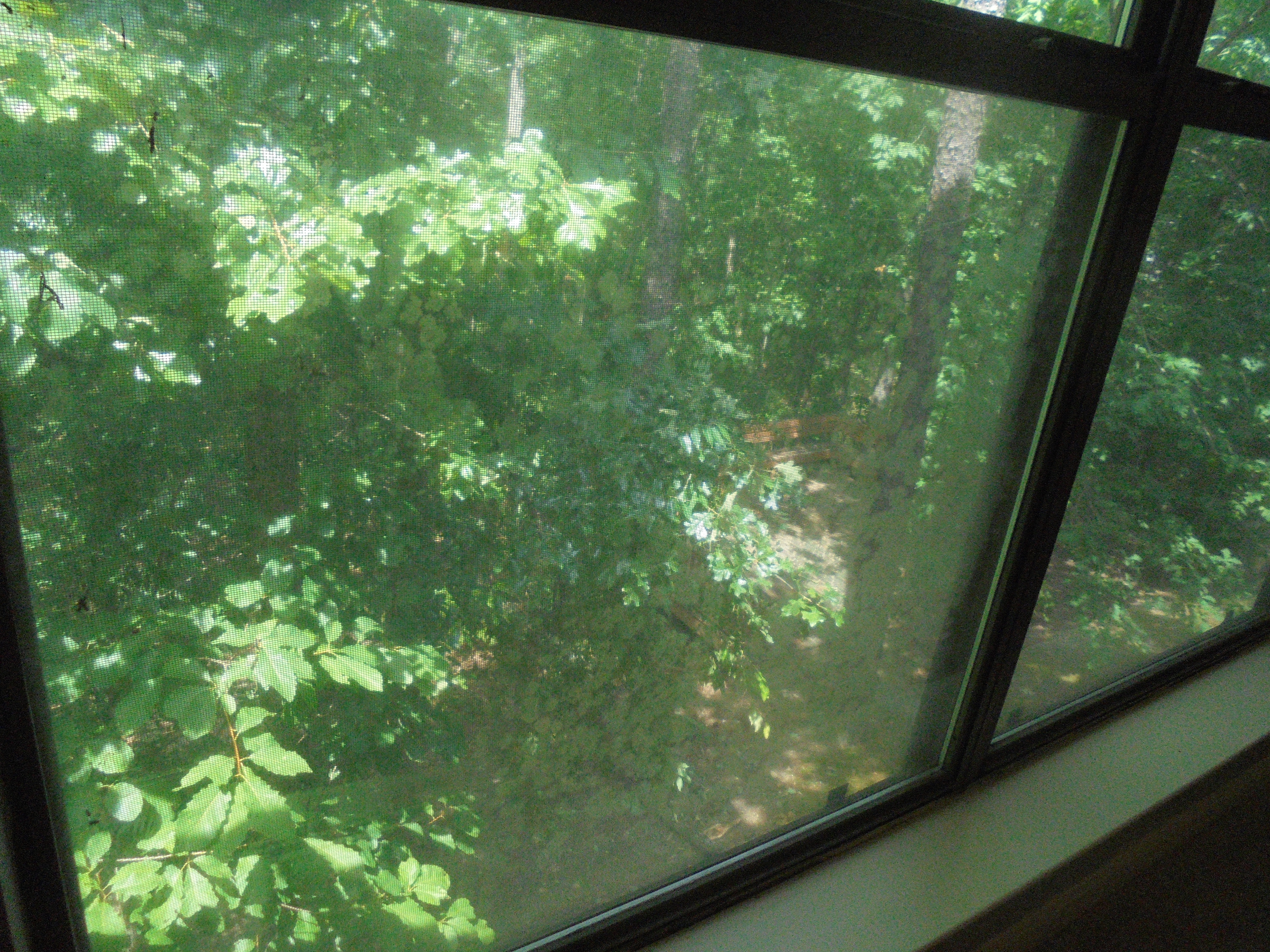 Hoover AL Condo inspection