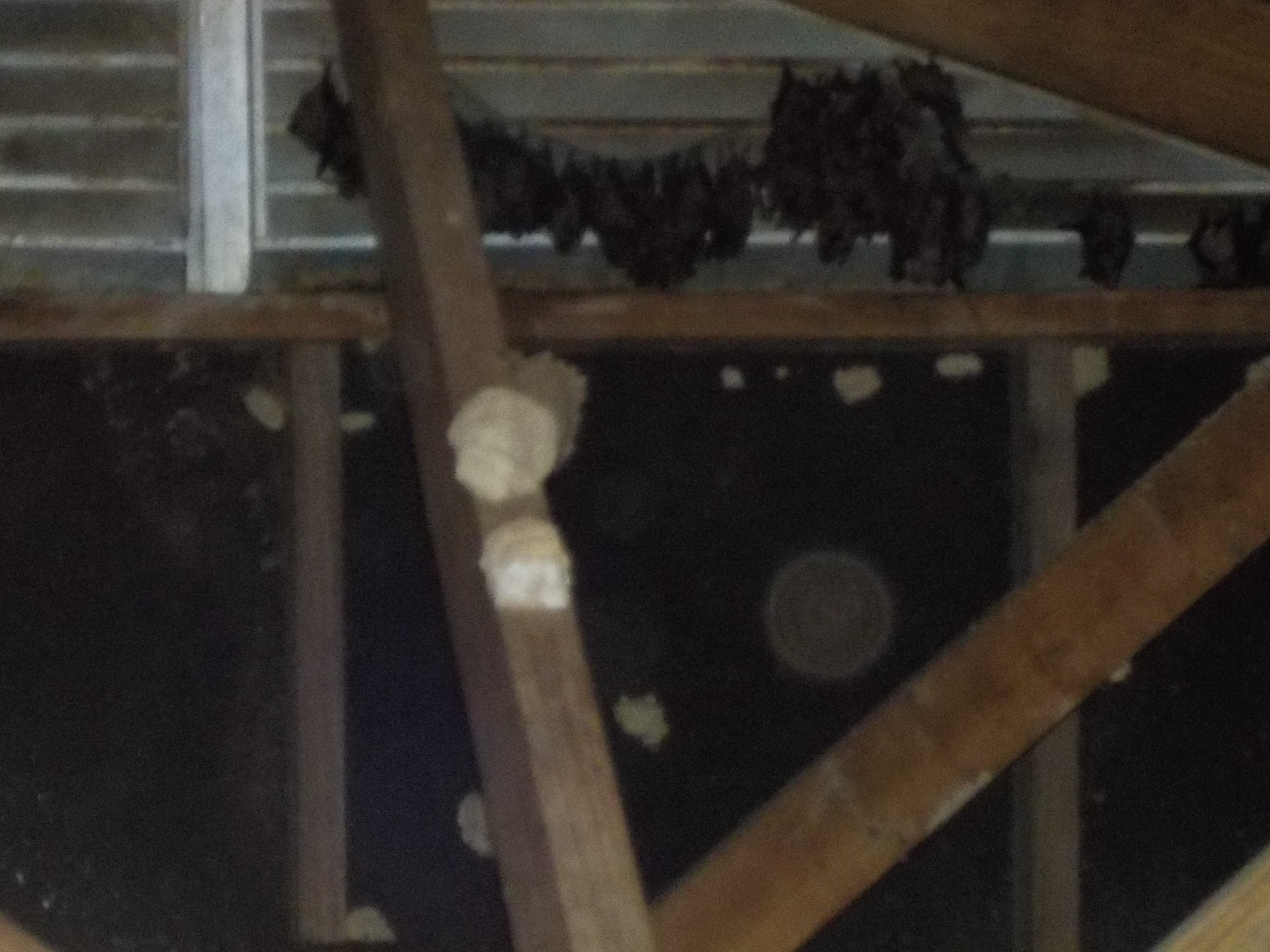 Chilton County Attic