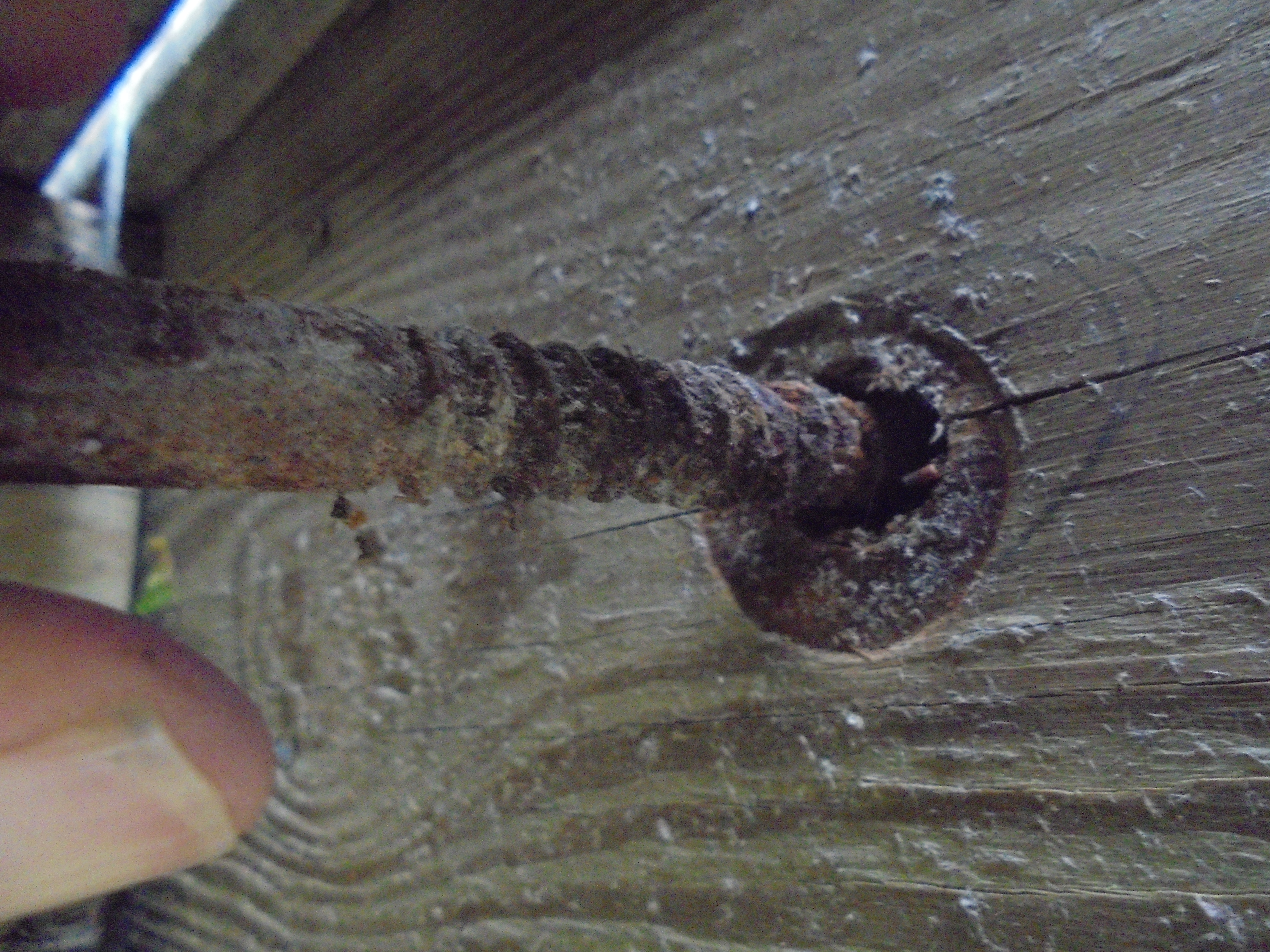 Under a deck in Trussville, AL
