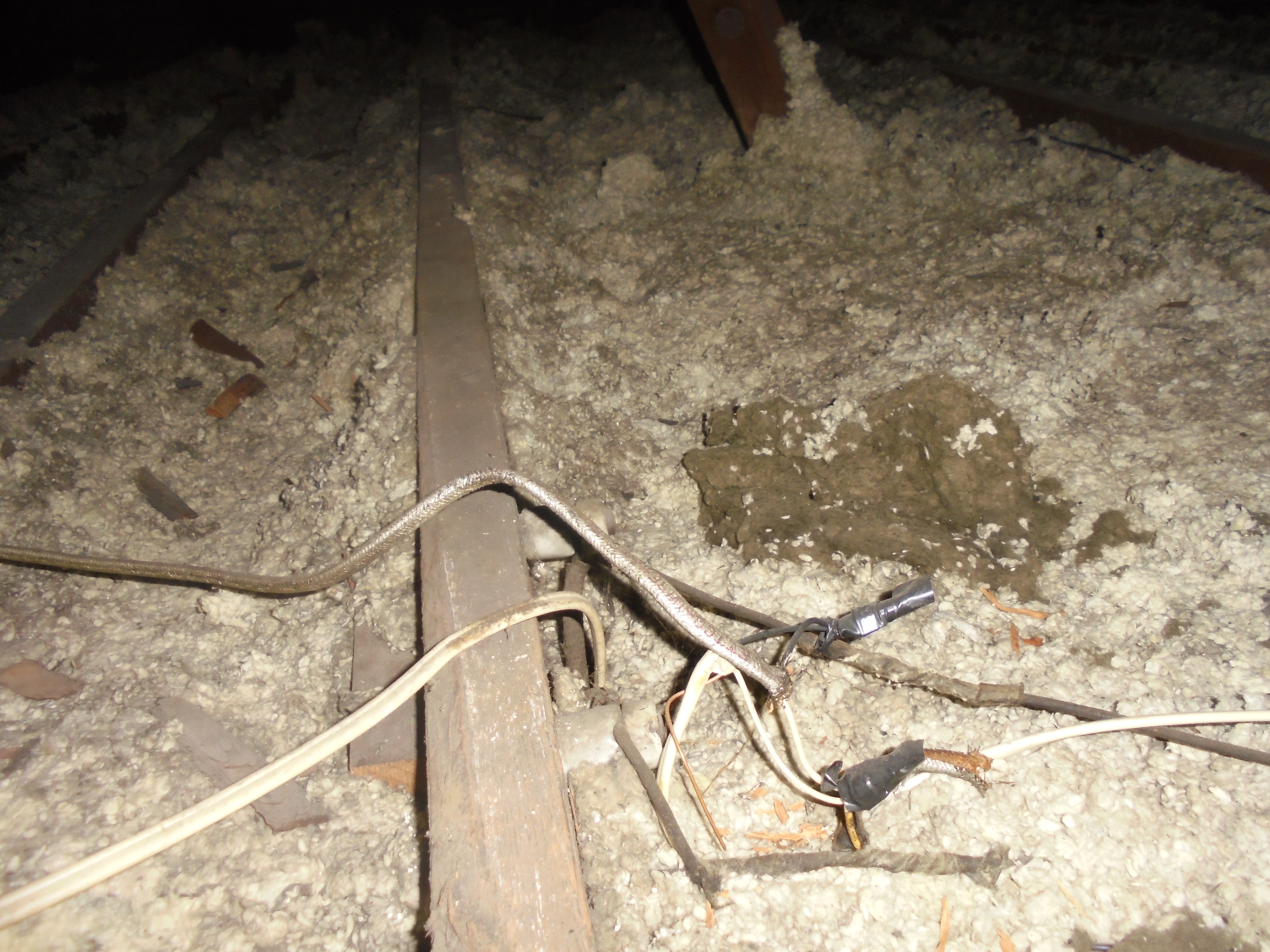 Birmingham Attic Inspection