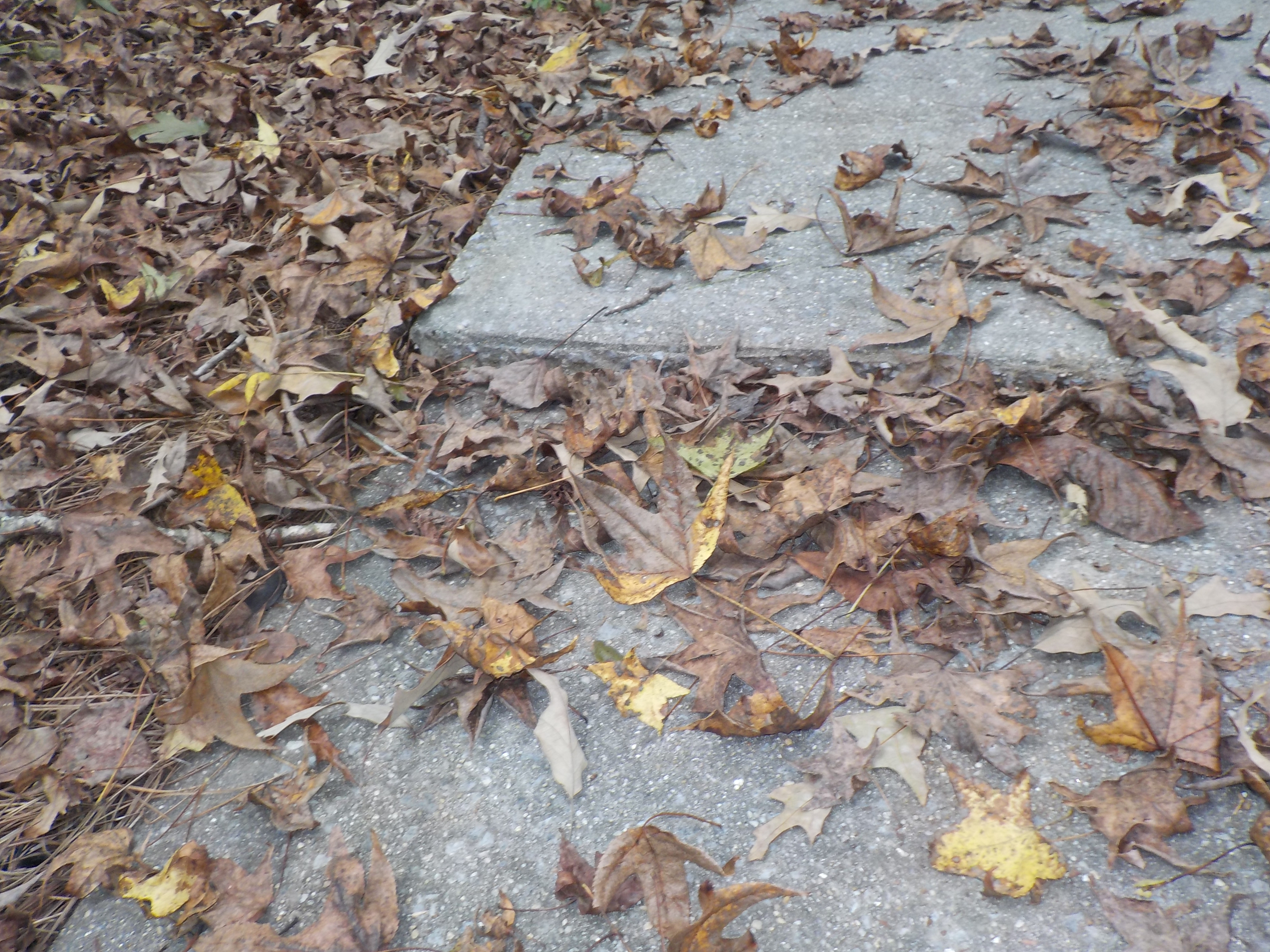 Alabaster Alabama sidewalk