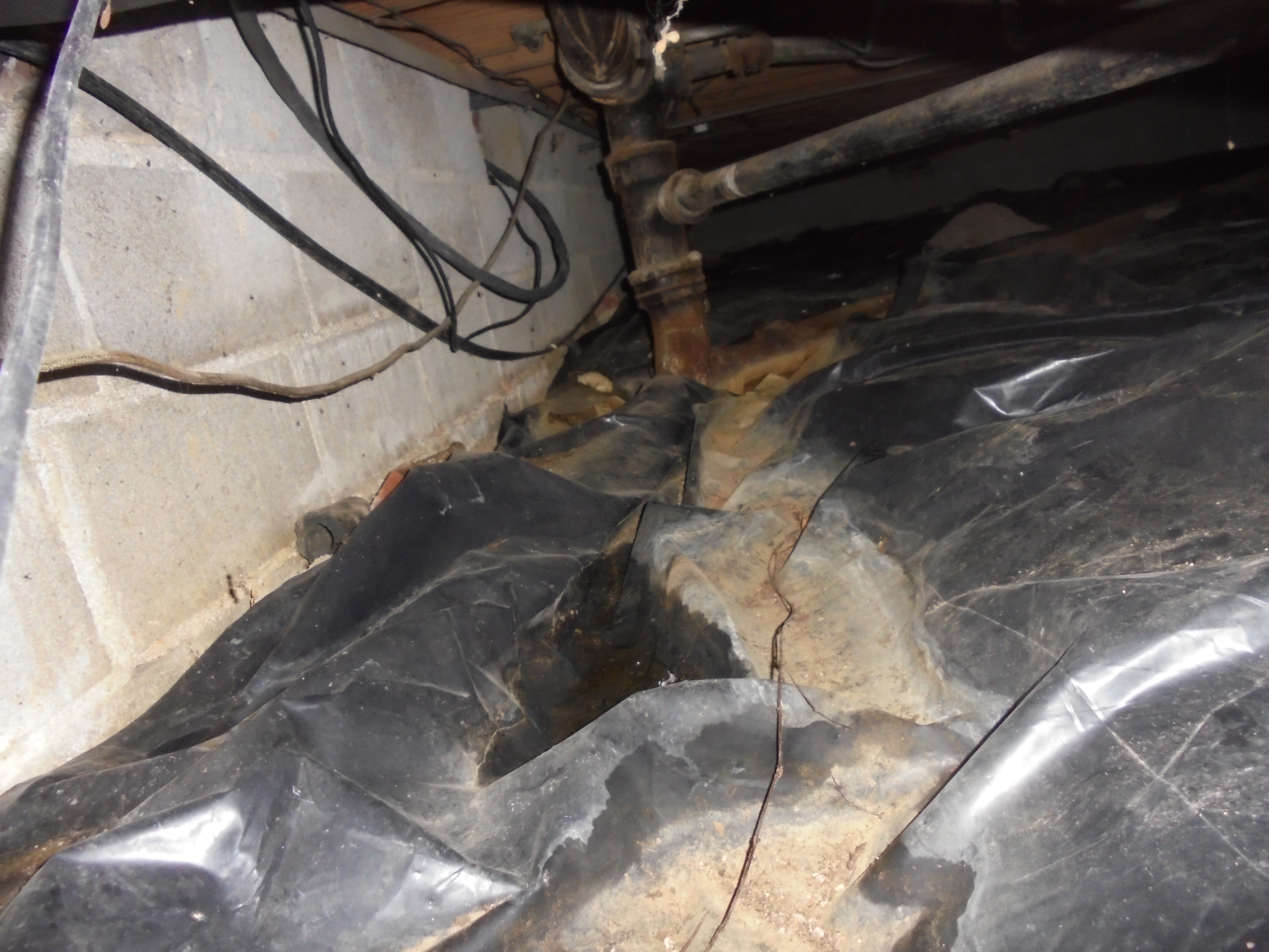 Crawlspace inspection - Birmingham