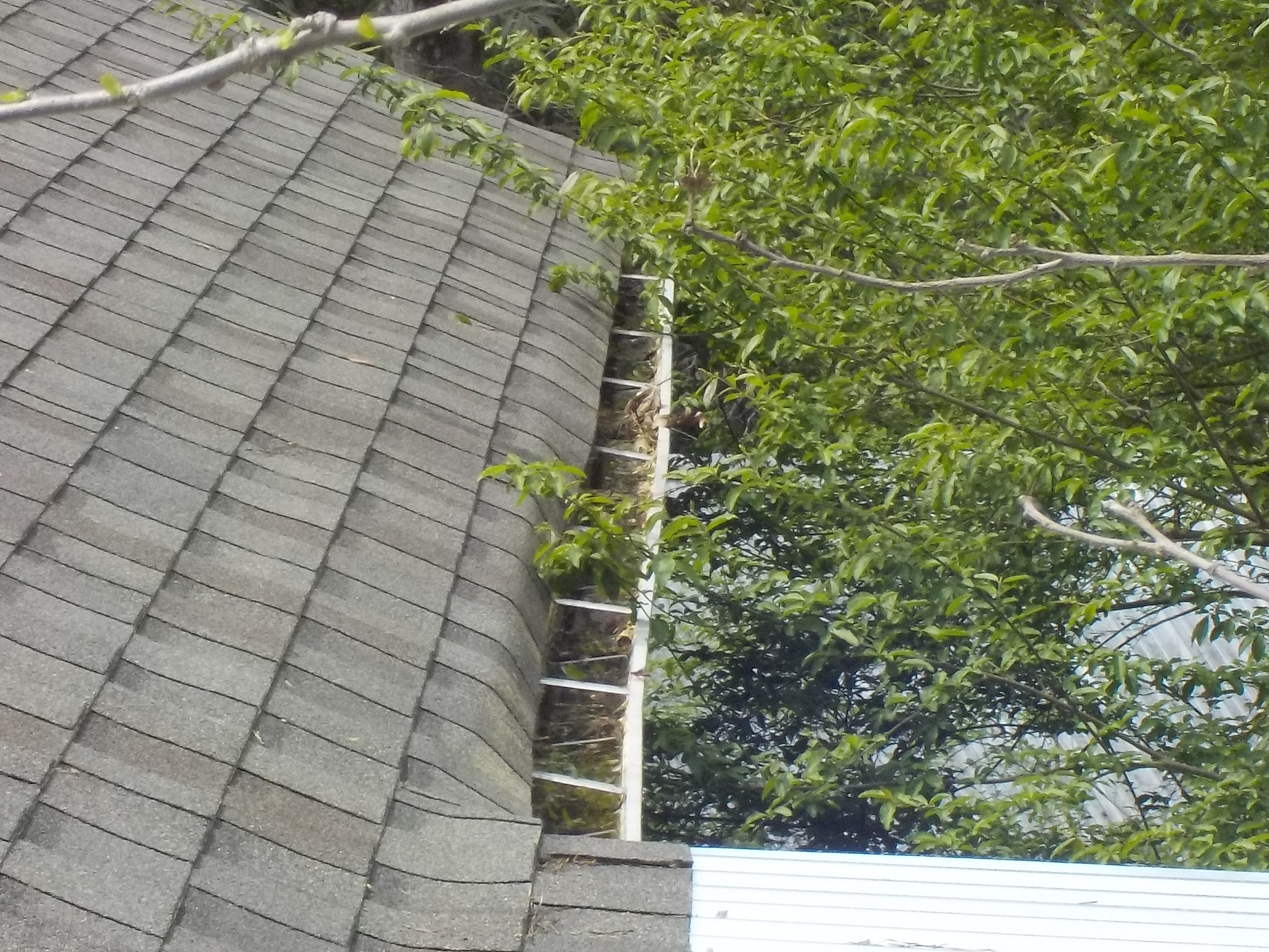 Hoover roof and gutter inspection