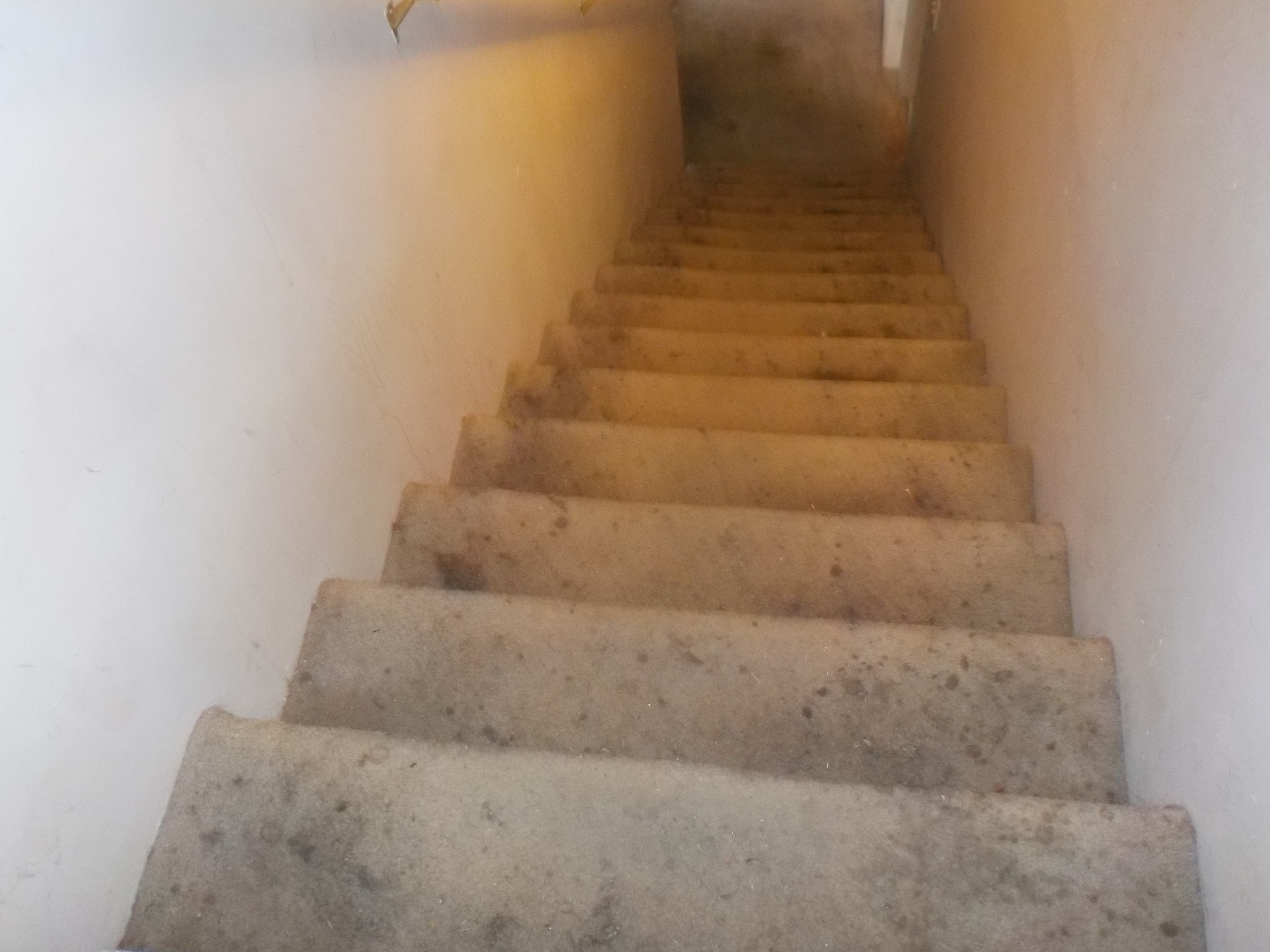 Pinson Stairwell needs rails